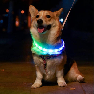 LED Dog Collar Waterproof Glowing Switchable Multi Color Cuttable Skin Friendly Silicone LED Dog Collars for Small Medium and Large Dogs
