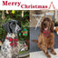 Unique Style Paws Christmas Dog Collar with Bow Tie for Small Medium Large Dogs as Autumn Winter Gifts